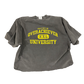 UNIVERSITY TEE TWO PACK